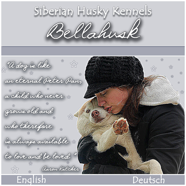 Bellahusky Siberian Husky Kennels